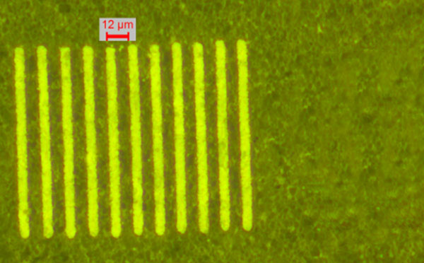 1531363012826838.jpg 未標題-2 拷貝.jpg